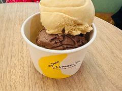 -LUNEURS月乐诗·法式冰淇淋(环贸店)