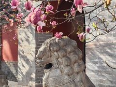 -红螺寺