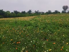 -歌斐颂巧克力小镇