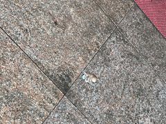 -麦岛和润农贸市场