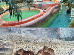 -渔岛海洋度假区