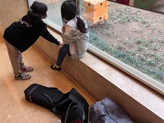 -宁波九龙湖开元度假村