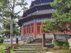 -中国唐苑