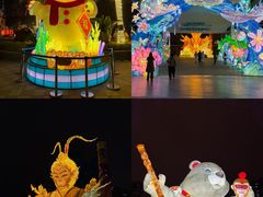 -海合安成都极地海洋公园