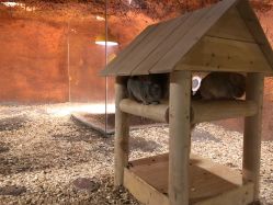 -酷嗒动物文化乐园(cutezoo西溪乐天城店)