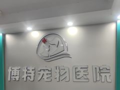 -博特宠物医院24h犬猫全科.骨科·异宠