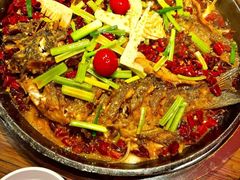 -老板恋上鱼(高新万达店)
