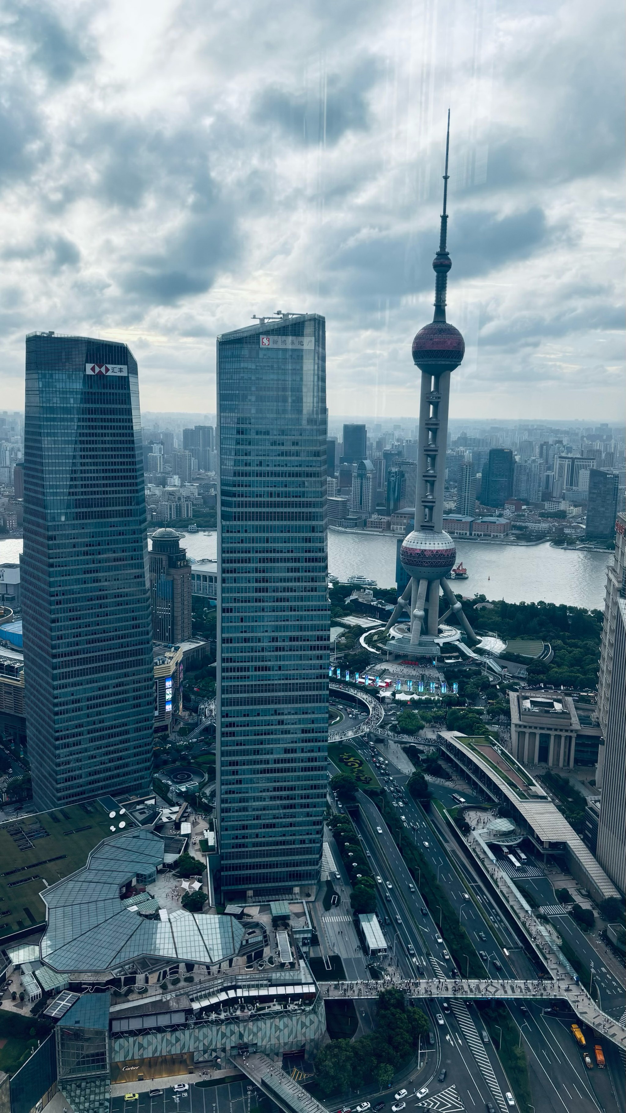 上海金茂大厦夜景图片