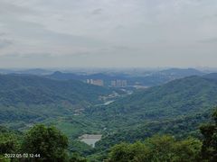 -黄埔油麻山森林公园