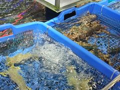 水产区-盒马鲜生(岭南新世界店)