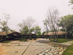 -盘龙城国家考古遗址公园