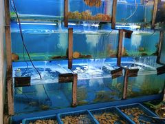 -老东镇啤酒屋海鲜加工·蒸汽海鲜·海鲜烧烤(台东店)