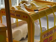 -帕帕拉兹宠物(亚洲旗舰店)