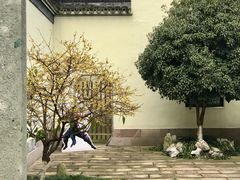 -金庸书院
