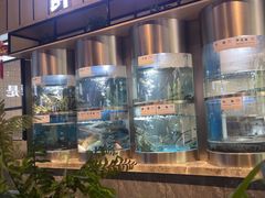 -老船舫·现做活鲜鱼馆(东郊记忆店)