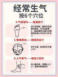 -香薇妮丝女子减肥院