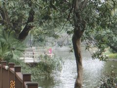 -晓港公园