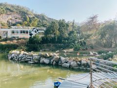 -石排湾郊野公园
