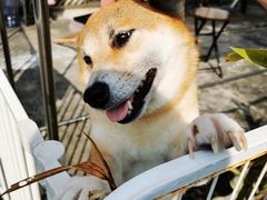 -南丫岛