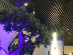 -绿茶餐厅(成都大悦城店)