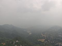 -大金鹰园