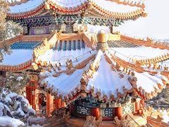 -颐和园