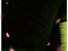 -海南鉴湖蓝湾高尔夫球会