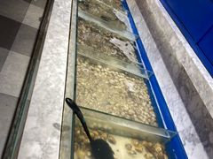 -火锅岛潮牌自助餐厅(天津天佑城店)