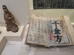 -广东中医药博物馆