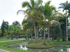 -中国科学院西双版纳热带植物园