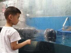 -成都浩海立方海洋公园