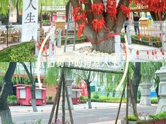 -天平湖公园