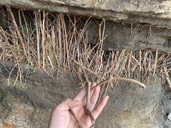 -响堂山石窟-北响堂山石窟
