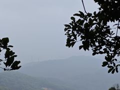 -东莞市大岭山森林公园