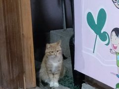 -龙达温泉生态城