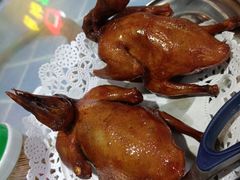-石岐乳鸽村(南海第三分店)