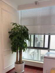 -武汉五洲整形外科医院