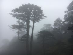 -苍山感通索道