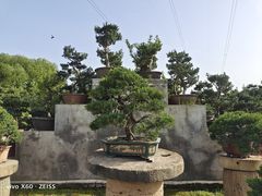 -中国唐苑