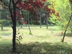 -石羊农庄