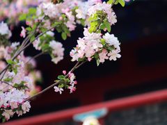 -恭王府博物馆
