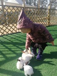 -萌宠亲子动物乐园(槐房万达店)