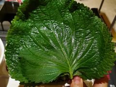 -丰茂烤串(金源店)