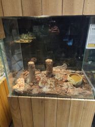 -造物庄园 萌宠纪(苏州湾歌林公园店)