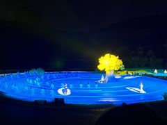 -鼎盛王朝康熙大典实景演出