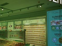 -Xcape异时刻密室逃脱魔法互动(瑞虹天地太阳宫店)