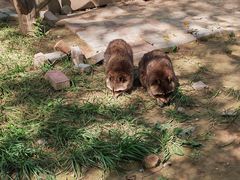 -青藏高原野生动物园