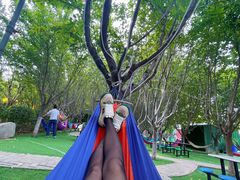 -西安汉城湖景区