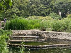 -成都市活水公园