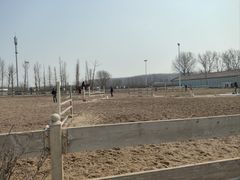 -北京群众马术培训基地